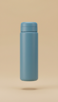 Sleek Insulated Water Bottle